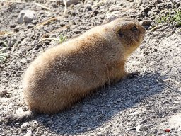 Tiergarten Schönbrunn am 23.03.2023